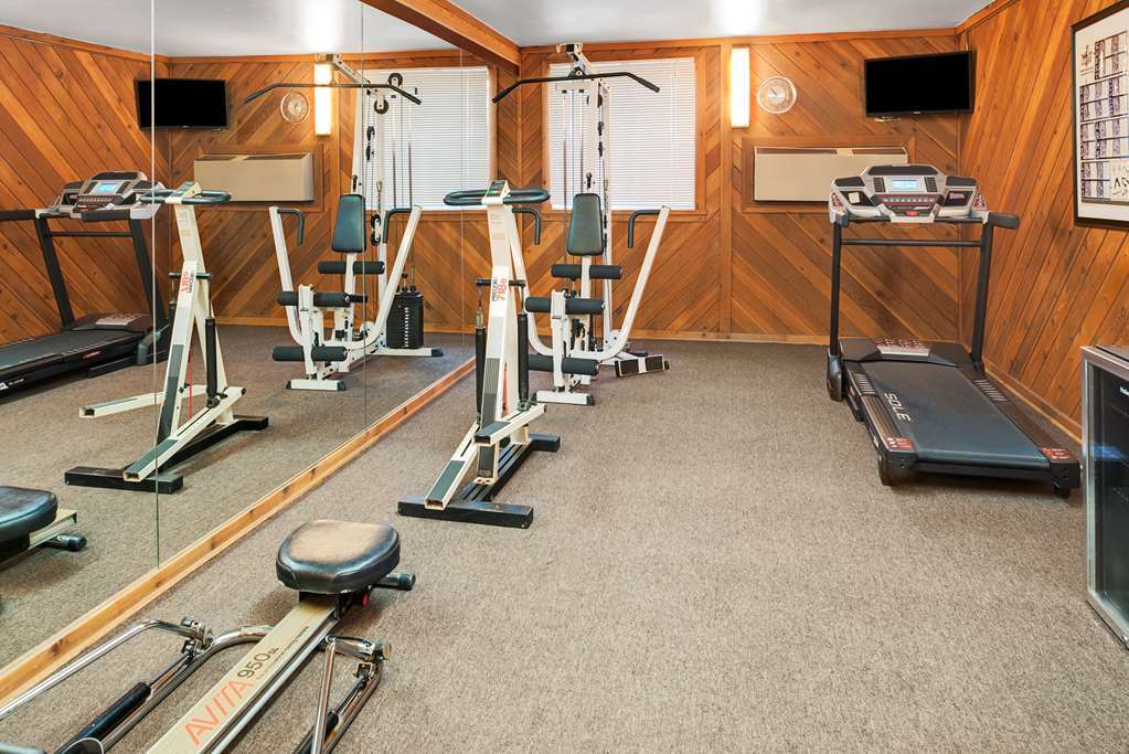 Countryside Inn & Suites Omaha East-Council Bluffs Ia Faciliteter billede